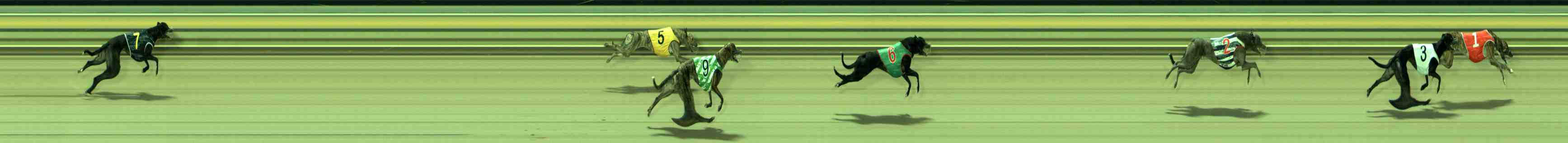 Race result finish photo